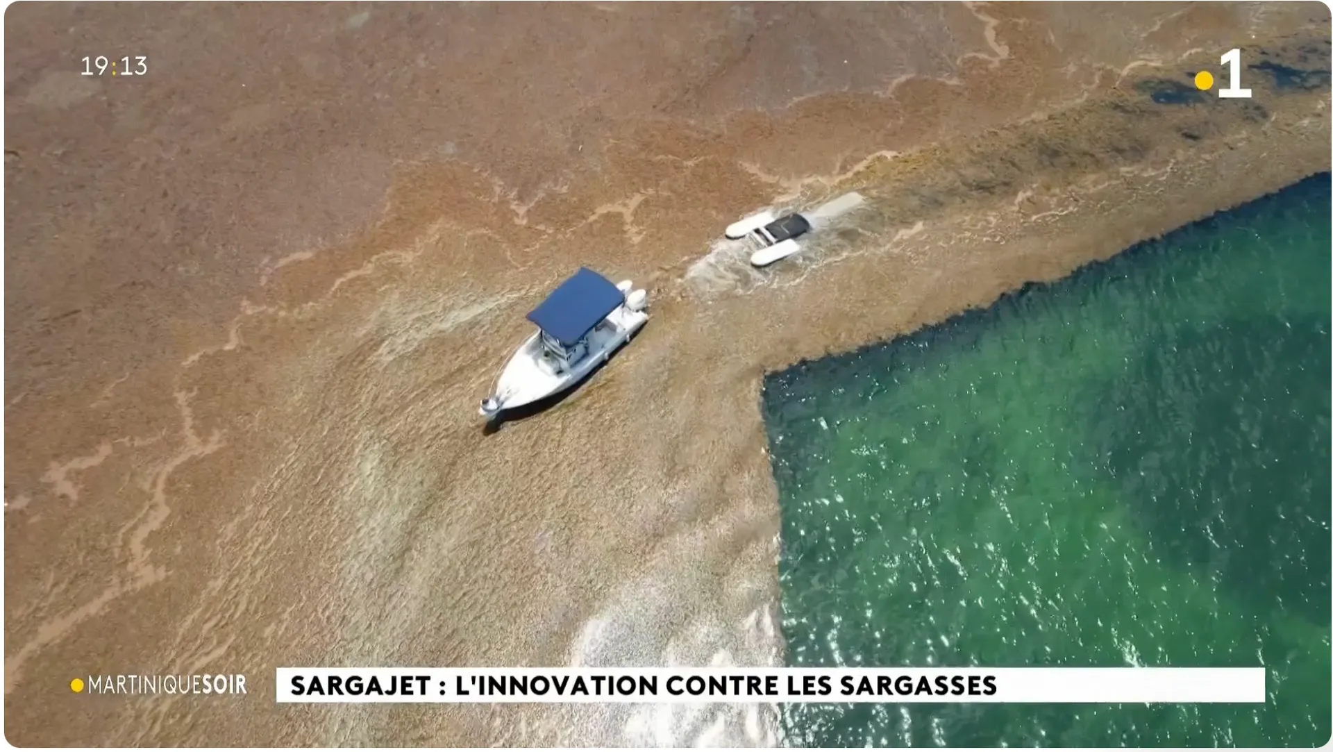 Aerial view of a boat towing SargaJet through sargassum, from the Martinique la 1ère report.